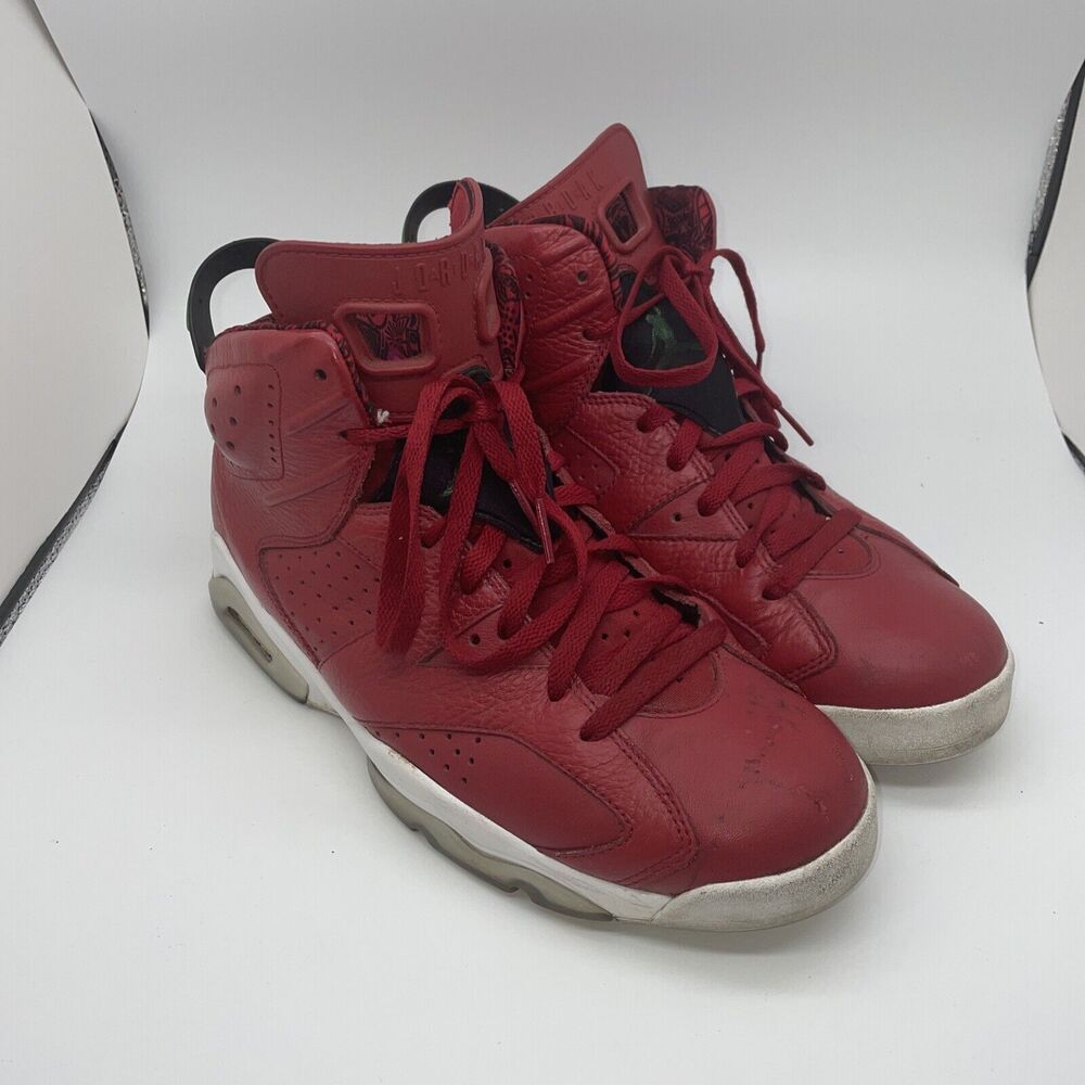 Air Jordan 6 Retro‎ Spiz'ike History of Jordan 694091-625 Size 10.5 (Pre-Owned)